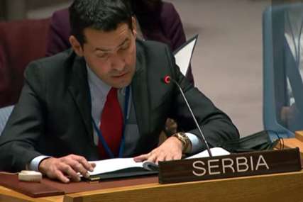 Predstavnik Srbije pri UN na zasjedanju Generalne skupštine "Srpski narod Ruse i Ukrajince smatra bratskim narodima"