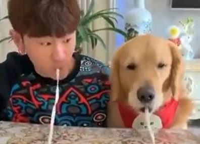 "3, 2, 1, idemo" Takmičio se sa psom ko će prije pojesti rezanac, neočekivan epilog (VIDEO)
