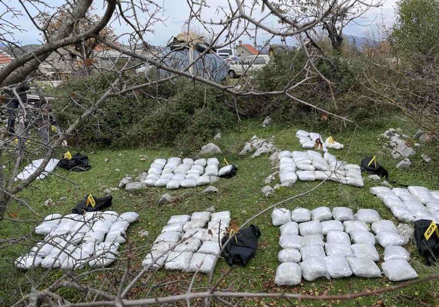 SIPA PRETRESA NA PODRUČJU TREBINJA Oduzeto 200 kilograma marihuane (FOTO)