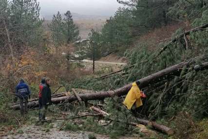 OBILNA KIŠA IZAZVALA PROBLEME  U Gacku oštećeno nekoliko stambenih objekata, porušena i stabla
