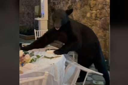 Dok ljudi mirno jedu, on se penje na sto: Nezvani gost došao na svadbu, pa postao hit na internetu (VIDEO)