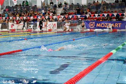 Čak 450 malih delfina plivalo na olimpijskom bazenu (FOTO)