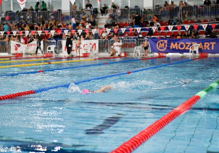 Čak 450 malih delfina plivalo na olimpijskom bazenu (FOTO)