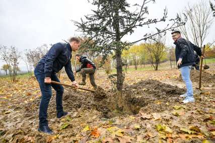 Ni kiša ih nije omela: Stanivuković, nadležne ekipe i mladi započeli jesenju sadnju u Banjaluci (FOTO)