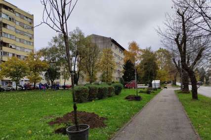 Godina vraćanja epiteta "grad zelenila": Novim parkovima, alejama i sadnicama ukrašavaju Banjaluku