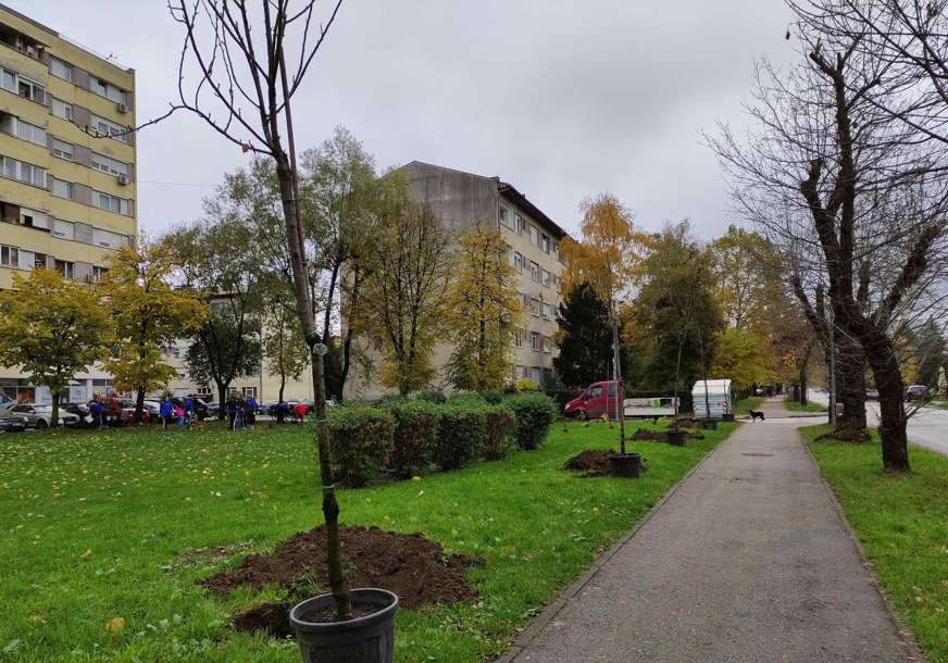Godina vraćanja epiteta "grad zelenila": Novim parkovima, alejama i sadnicama ukrašavaju Banjaluku