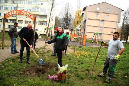 Radnici Eko toplane donirali sadnice Gradu: Crvenim hrastom i ukrasnim biljem uljepšali Obilićevo (FOTO)