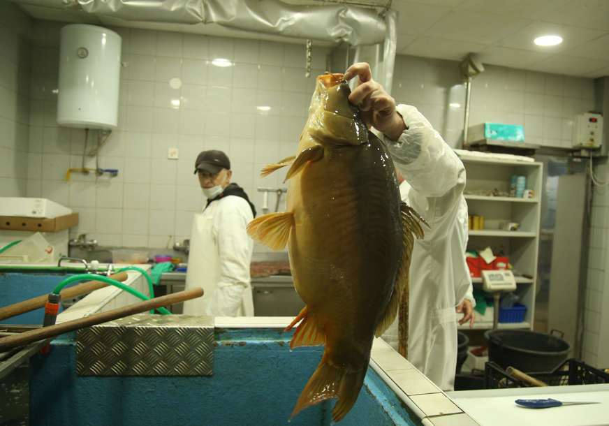 Kilogram ribe kao kilogram šnicle: Za posnu trpezu pripremite DEBEO NOVČANIK (FOTO)