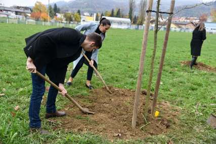 Novi drvoredi u tri ulice: Jesenjom sadnjom obogatili Banjaluku