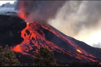 Proradio vulkan na Galapagosu: Iz te oblasti evakuisani ljudi, nadležni nadgledaju situaciju