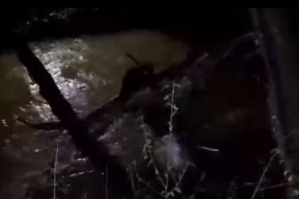 Dramatičan snimak iz Istre: Policija spasila ženu iz rijeke dok je pokušala da pređe granicu, DIJETE ODVUKLA STRUJA (VIDEO)
