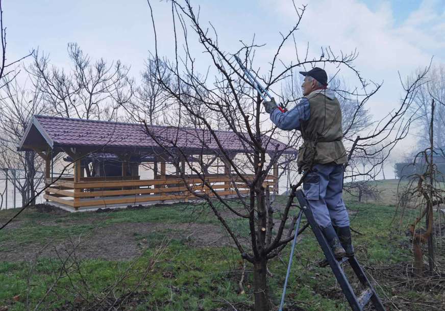 Radovi u potkozarskim voćnjacima na izmaku godine: Orezivanje za veći rod naredne sezone (FOTO)