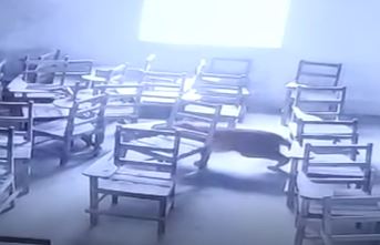 Drama u školi: Leopard ušao u učionicu, pa napao učenika