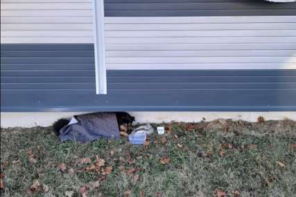 TUŽNA PRIČA ALI SREĆAN KRAJ Udomljen pas kojeg je neko upucao na Kupresu i ostavio na hladnoći