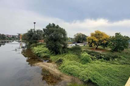 Nesvakidašnja scena u Prijedoru: Posječena stabla koja su krasila obalu Sane (FOTO)