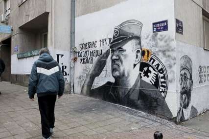 Stanari zgrade tražili pomoć da se skine grafit: Uklonjen mural Ratku Mladiću