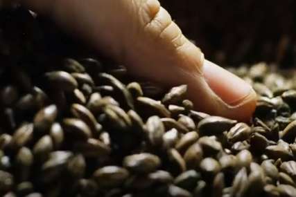Vrijednost veća od 142 miliona KM: BiH prošle godine uvezla 19.500 tona kafe
