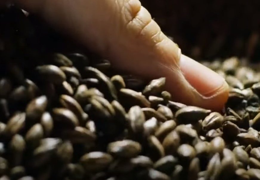 Vrijednost veća od 142 miliona KM: BiH prošle godine uvezla 19.500 tona kafe
