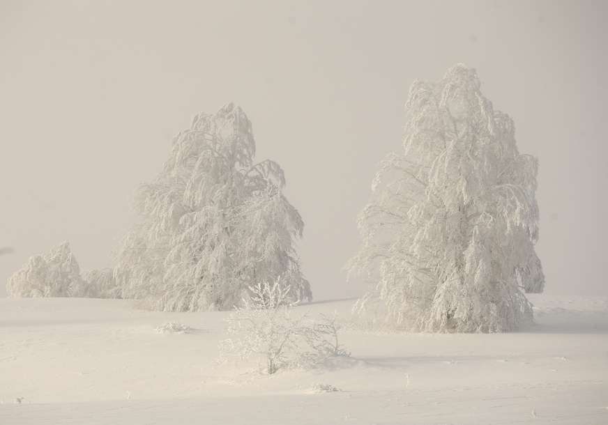 Ovo nije jedina muka stanovnika: Put do Drvara i dalje neprohodan, snijeg izazvao kolaps