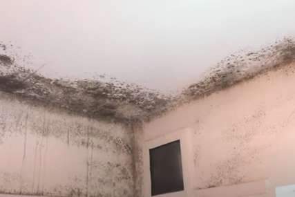 Neke greške tokom čišćenja možemo "platiti zdravljem": Uz ovaj trik pravilno uklonite vlagu sa zidova