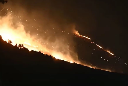 LOKALIZOVAN VELIKI POŽAR Izgorjelo 50 hektara šume i niskog rastinja