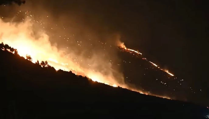 LOKALIZOVAN VELIKI POŽAR Izgorjelo 50 hektara šume i niskog rastinja