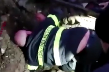 Snimak oduševio javnost: Vatrogasci golim rukama kopali zemlju da spasu pse (VIDEO)