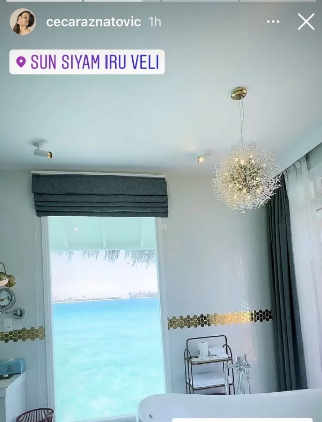 FOTO: CECARAZNATOVIC/INSTAGRAM/SCREENSHOT