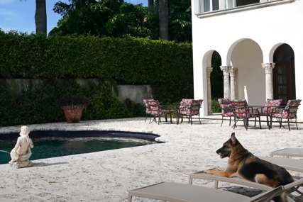 Upoznajte Gantera, najbogatijeg psa na svijetu: Ima nekretnine, automobile, jahte, privatni avion (FOTO)
