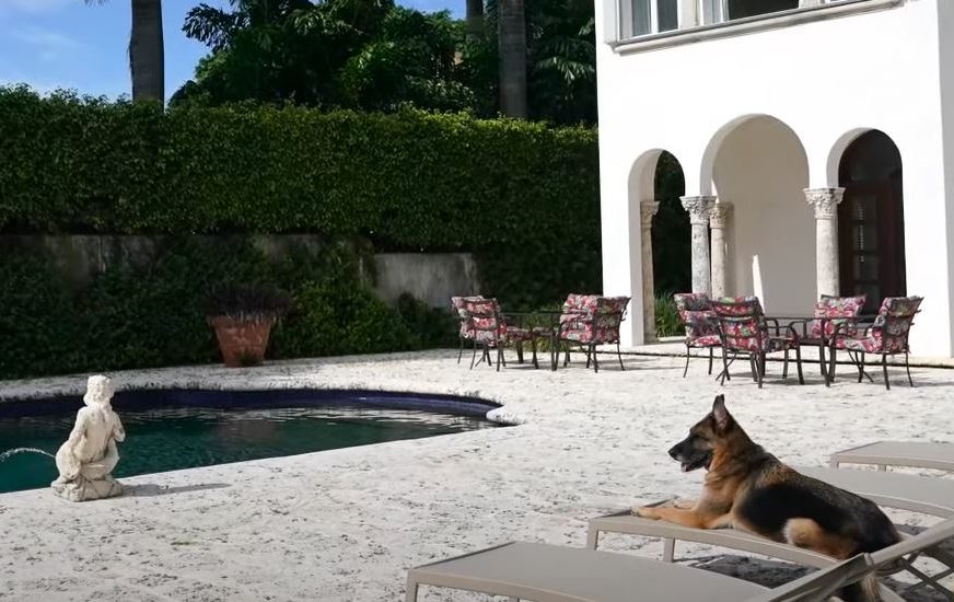 Upoznajte Gantera, najbogatijeg psa na svijetu: Ima nekretnine, automobile, jahte, privatni avion (FOTO)