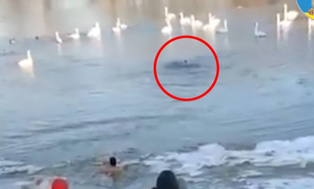 NIJE DVA PUTA RAZMIŠLJAO Nebojša skočio u ledenu rijeku da spasi svog ljubimca (VIDEO)
