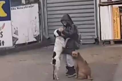 Mali Lazar grli pse na ulici kako bi im pomogao da se zagriju: Dječaku zlatnog srca i njegovoj porodici sada treba pomoć dobrih ljudi (FOTO, VIDEO)