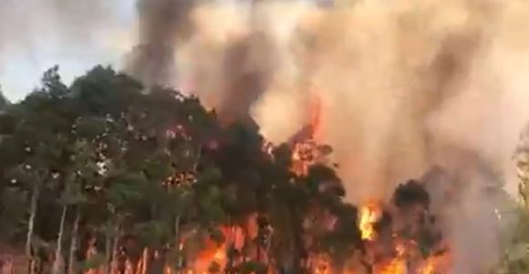 Vatrena stihija u Australiji: Izgorjele najmanje četiri kuće, IMA POVRIJEĐENIH (VIDEO)