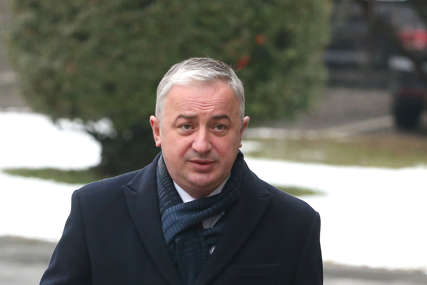 Borenović odgovorio Cvijanovićevoj na prozivke "Gdje je optužnica, Ronhil i Karganović patriote"