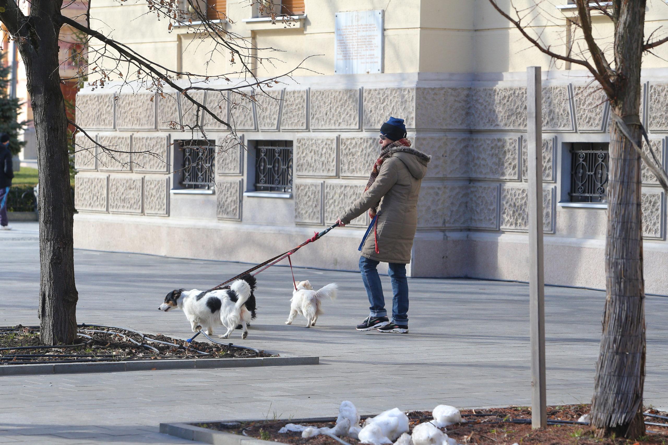 zašto moj pas čudno hoda