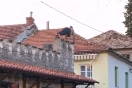 Vježbe mu se obile o glavu: Isplivao snimak mladića koji je u Trebinju pao nakon sklekova (UZNEMIRUJUĆI VIDEO)