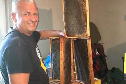 Među pčelama pronašao DUŠEVNI MIR "Priroda i pčelarstvo osobama sa invaliditetom pomažu u rehabilitaciji"