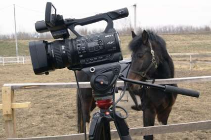 NESVAKIDAŠNJI PRIZOR U GRADIŠKI Snimatelj u kafani, a konj čuva kameru (FOTO)