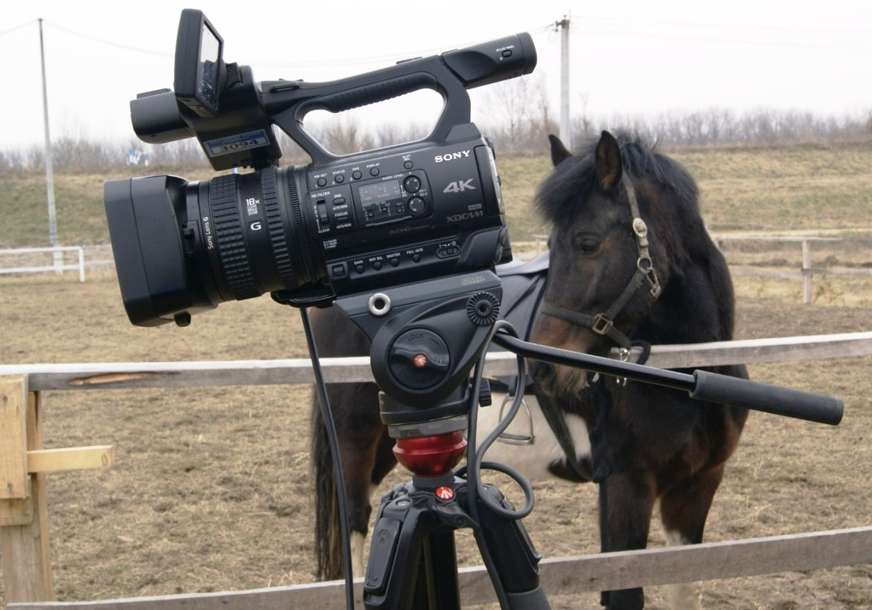 NESVAKIDAŠNJI PRIZOR U GRADIŠKI Snimatelj u kafani, a konj čuva kameru (FOTO)