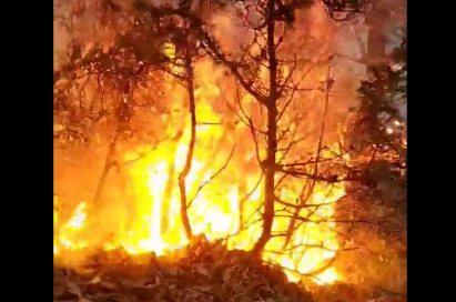 Bukti požar u Jablanici: U gašenju učestvuju i mještani (VIDEO)
