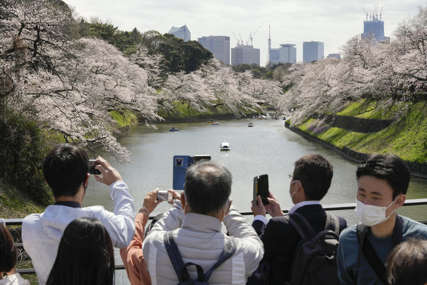 Procvjetale trešnje u Japanu: Toplo vrijeme izmamilo stanovnike Tokija na rijeku, prizor kao iz bajke (FOTO)