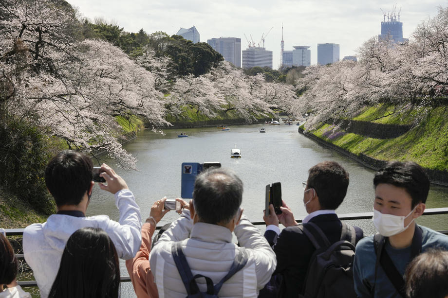 Procvjetale Trešnje U Japanu: Toplo Vrijeme Izmamilo Stanovnike Tokija ...