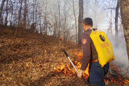 Požar kod Stanara se oteo kontroli: Palio korov, pa izgorjela šuma i 75 dunuma rastinja