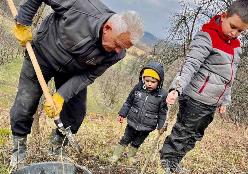 Rođendan i proljeće sa unucima: Milenko iz Grbavaca izabrao poseban povod za sadnju voća