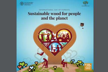 U susret Međunarodnom danu šuma: Zapošljavaju 33 miliona ljudi, a proizvodi koriste milijardama