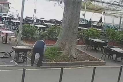 LJUDI U ŠOKU Pogledajte šta je čovjek ukrao iz bašte kafića (VIDEO)