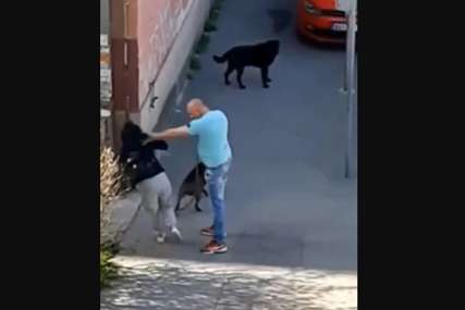 Brutalno izudarao ženu i psa, a sada kaže da je sve bilo "NENAMJERNO": Šokantna odbrana nasilnika o kom bruje društvene mreže (VIDEO)