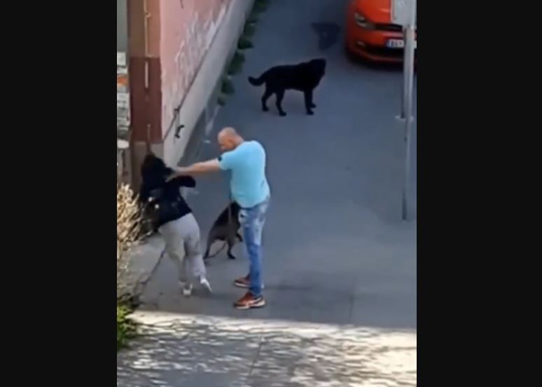 SNIMAK NASILJA ZGROZIO SVE Uhapšen muškarac koji je pretukao ženu i njenog psa (VIDEO)