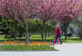 Mještani se rado odazvali: Cvijećem i sadnicama uljepšan Borik (FOTO)