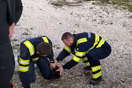 SVAKA ČAST! Vatrogasci spasili psića koji je upao u šaht dubok dva metra (VIDEO)